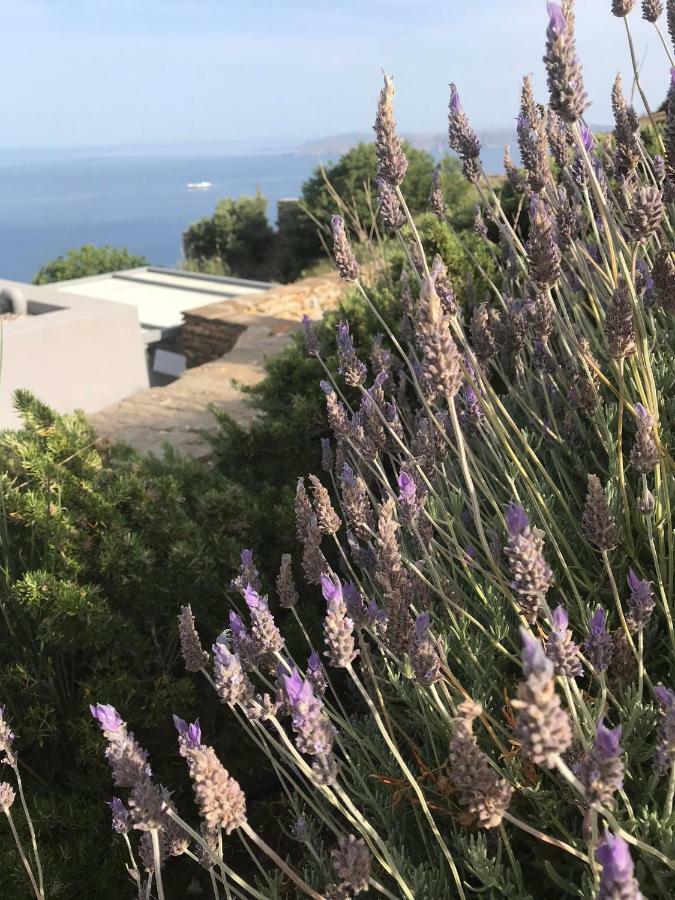 A La Villa Grand Bleu Ellinika  Dış mekan fotoğraf